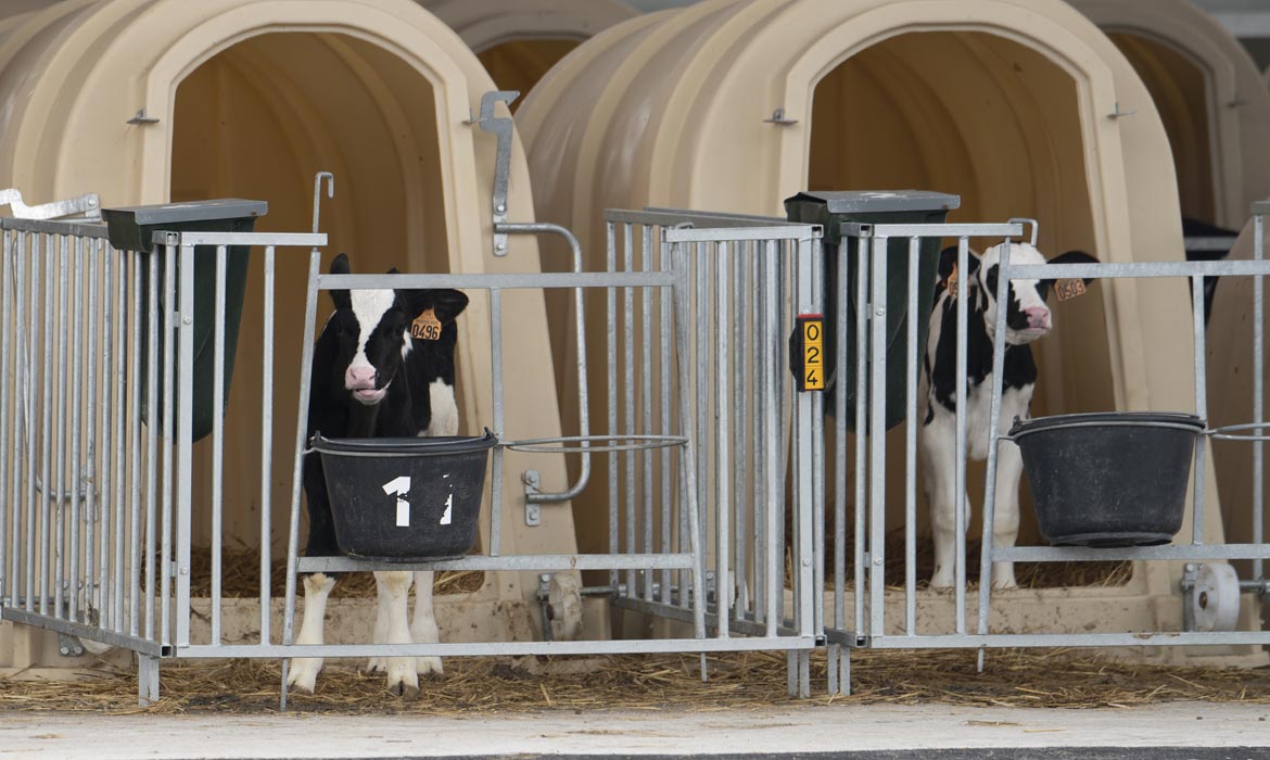 Ferme pilote de Bel Orient - Centre Bretagne