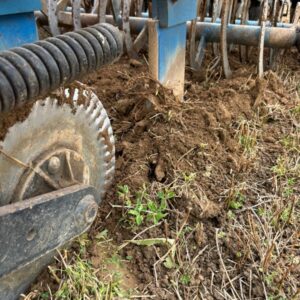 Travail du sol avec semoir Cameleon